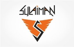DJ Sulaiman _ Deviant Strokes _ Branding